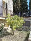 Petit Jardin Venezia - 2022 年在法國南部佩皮尼昂出售帶游泳池、水療中心、歐洲花園的大型旅館 (3).webp